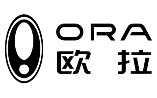 Ora logo